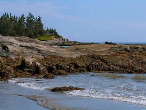今も心に残る、彼が行きたいと言った潮干狩りとディズニーホテル