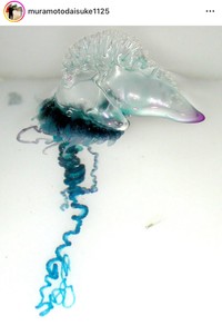 村本大輔（@muramotodaisuke1125）さんのインスタグラムより