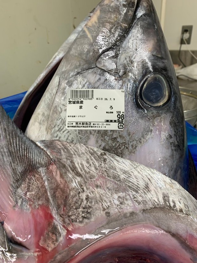 本マグロの頭とカマ98円／幸丸　公式X（@skanayaneko）より