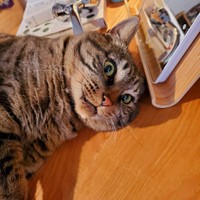 目を見開くコナンくん。ちょっとホラー