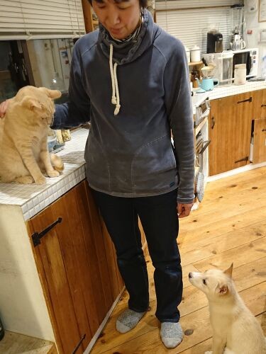 もちと天ちゃんはわりとすぐ仲良しになったそうです。「天ちゃん、毛色が僕と似てるねｂｙもち」（鈴木先生提供）