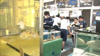 【特集】この先も瀬戸内海と⑨　多度津高校「生物科学部」生き物とともに…