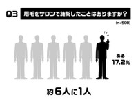 眉毛をサロンで施術したことはありますか？（出典：眉トレンド白書 by HOLLYWOOD BROW LIFT®）