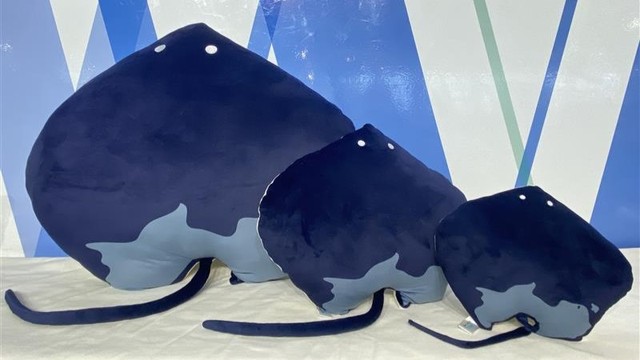 エイくんぬいぐるみ（左から特等、2等、3等）　四国水族館 提供
