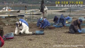 アサリ漁が始まる　震災後に造成された新たな干潟　宮城・石巻市の万石浦