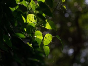 半年で教師を辞めた。愛と熱意をくれた実習先の先生と、無責任で舌打ちばかりの指導教官