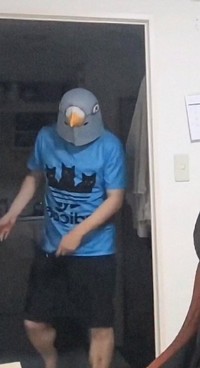 SNSに投稿した動画で鳥のマスクをかぶっていたという辻容疑者（XユーザーAさん提供）