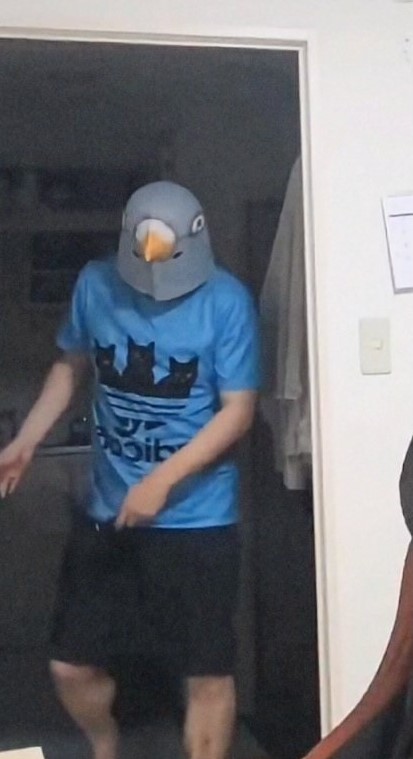 SNSに投稿した動画で鳥のマスクをかぶっていたという辻容疑者（XユーザーAさん提供）