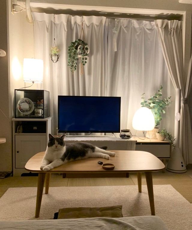 ここが定位置なんです