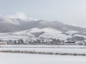 話しかけても父が返事をしない理由。夢だった父との晩酌で見えたもの