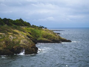 「ふつう」という海でもがく私が見つけた「アセクシャル」という陸地