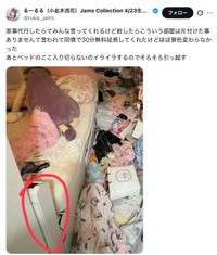 小此木流花さんの公式Xから