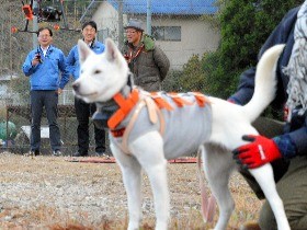 山の向こうの狩猟犬やモンキードッグ、ドローンで把握