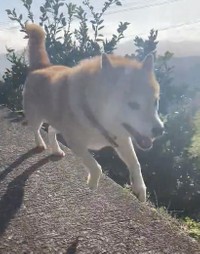 コーナーギリギリを攻めます（提供：北田瑞絵さん）
