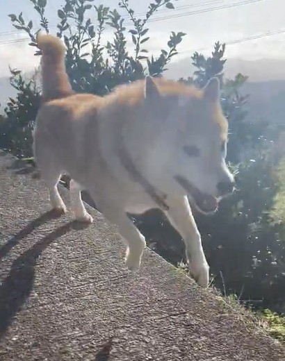 コーナーギリギリを攻めます（提供：北田瑞絵さん）
