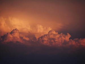 家を出ることに感じない寂しさの理由。父と兄は時々化け物になる