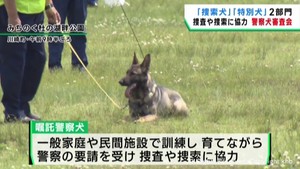 要請を受けて捜査捜索に当たる嘱託警察犬の審査会　宮城・川崎町