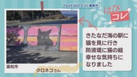 【はぴコレ】防波堤の猫の絵で幸せ・家の近くの桜　4月17日放送