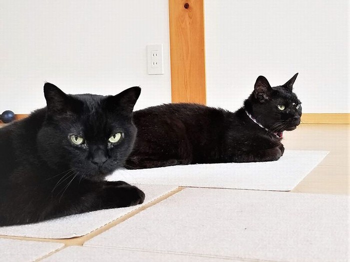 微妙な距離のふたり