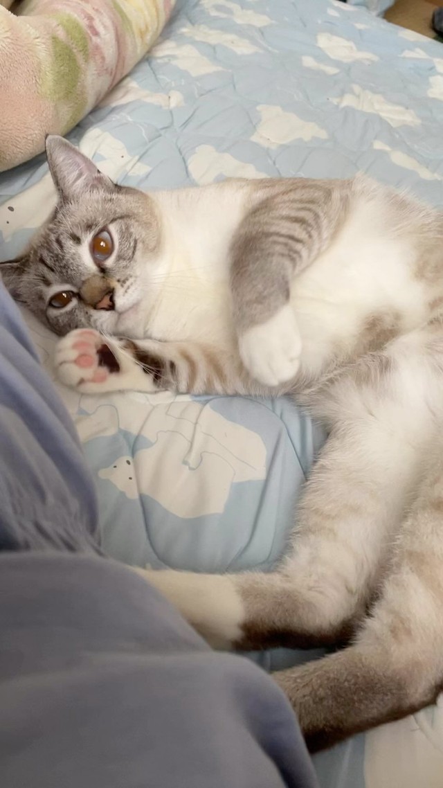 男の子は甘えん坊？＝meifu_waさん提供