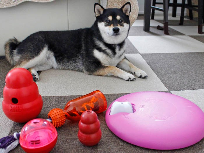 本記事で紹介した知育トイ以外にもたくさん