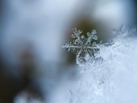 誰が作ったのだろう。2つ並ぶ雪だるまに心がホカホカになったあの日