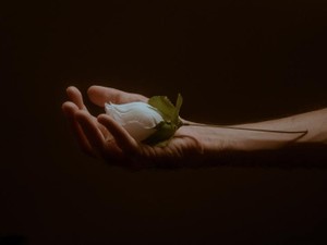 私と同年代の娘がいた彼の「さようなら」。私はありがとうと言いたい