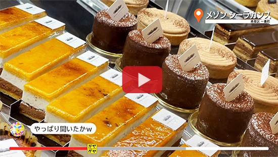 #680メゾン シーラカンス