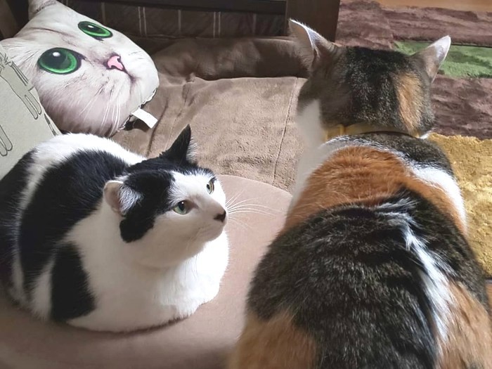 女帝っぷりを発揮