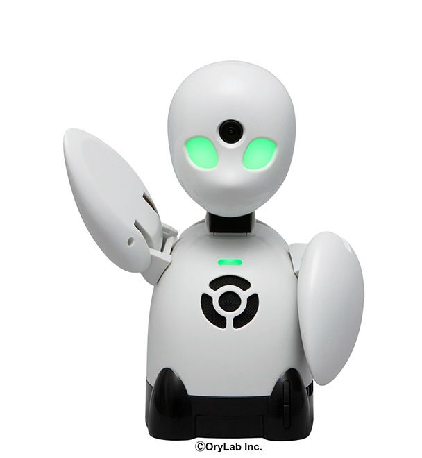 Tourist-guiding robots give role to people with mobility issues