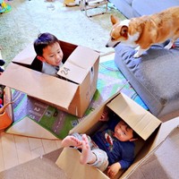 弟たちを見守るどんちゃん（画像提供：むへむへさん）