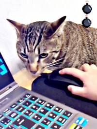 次の一手を考えるzozoくん（画像提供：zozoさん）