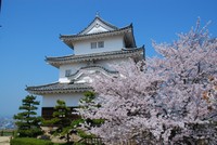 4月6日は「城の日」丸亀城天守を無料公開　桜も見頃か　香川