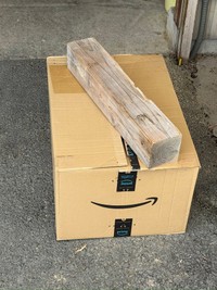 お酒と塩で清めた「アライグマ」の亡骸は自治体が引き取ってくれたそう（画像提供：りゅうぶらさん）