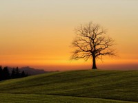 嫌いだった営業職にやりがいを見出せるようになった2社目からの卒業