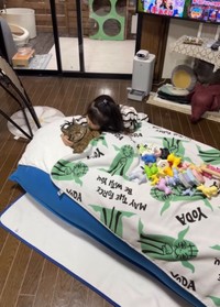 何をされても、逃げないバンくん（midoriさん提供、Instagramよりキャプチャ撮影）