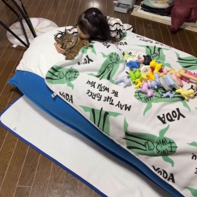 何をされても、逃げないバンくん（midoriさん提供、Instagramよりキャプチャ撮影）