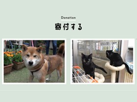 保護犬や保護猫を幸せにしよう「みんなイヌみんなネコ ドネーション」