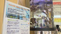 病院の入口に“出前水族館”が登場　訪れた人を笑顔に…水槽にカキ養殖の海を再現　香川