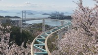 スリル満点！地上16mの高さで桜を楽しめる「スカイサイクル」　岡山・倉敷市