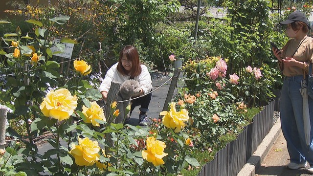 番の州公園　坂出市