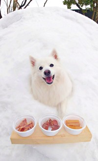 かまくらの前でおやつタイムを楽しむ楽くん（画像提供：くーさんママさん）