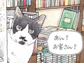 猫が迎えてくれるお店、イラストで紹介　「東京猫びより散歩」