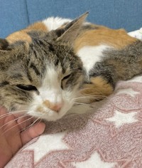 20歳のころのまるちゃん