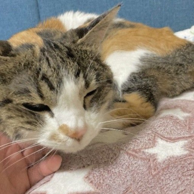 20歳のころのまるちゃん