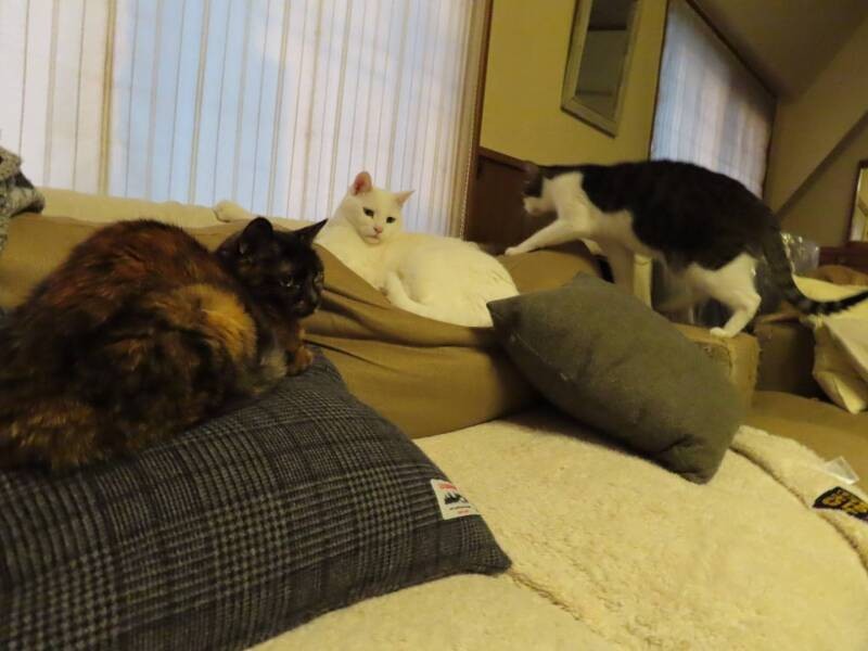 入院1週間目頃。みんな何考えてるの？