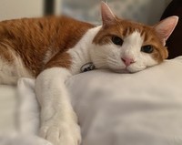 生後4カ月の頃に出会った