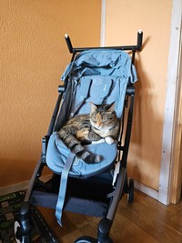 本体のベビーカーは猫が使っていたという（「Kazu.net@norway🇳🇴」さん提供）