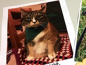 映画館でペット写真を募集中　イヌ・ネコ２本立て期間に展示