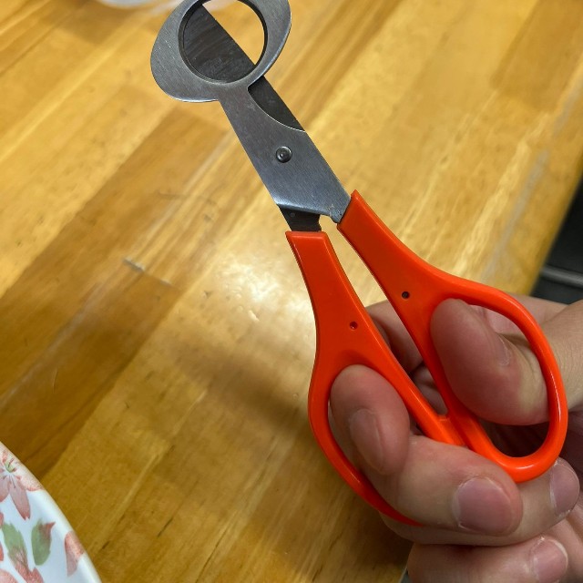 閉じた状態のうずらカッター。コンパクトな見た目が特徴／そーすぃさん（@sousui99_m）提供